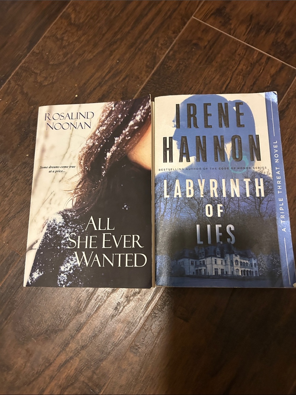 Labyrinth of Lies Hardcover Book - Blue